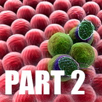 Prostate Cancer, Treatment, and Massage Therapy