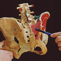 Iliolumbar Ligament Sprains